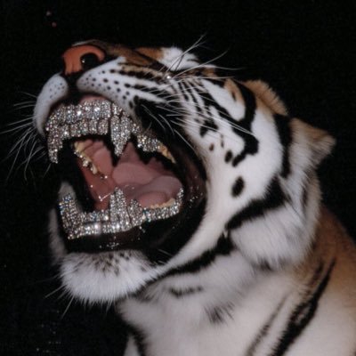 immaheadoutGG's profile picture. -