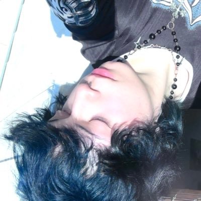 Tonnoki's profile picture. 𝑷𝒊𝒔𝒄𝒊𝒔