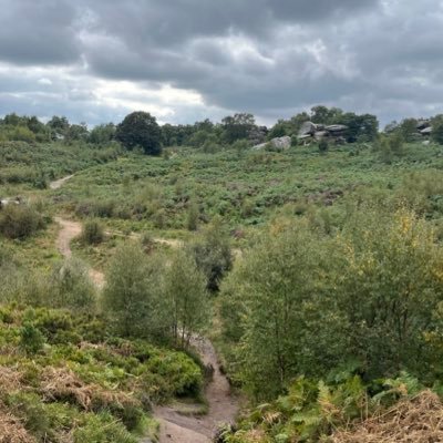 Handshake690946's profile picture. Professional shiller