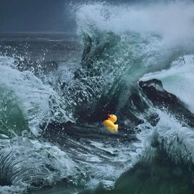 srehe2526's profile picture. 