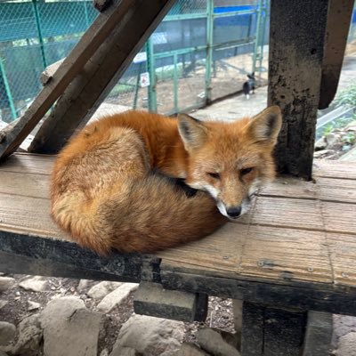 WaiD5Xk7nR19635's profile picture. 