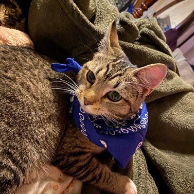 Beau_Disc's profile picture. 18 / they/them / proship DNI / ace but not aro, I love my gf @NonsenseActivy / I post better art on insta and tiktok