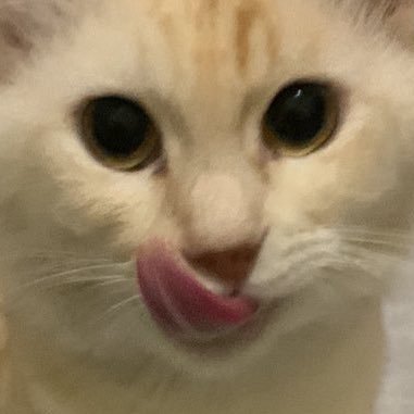 pinxvenomm's profile picture. 