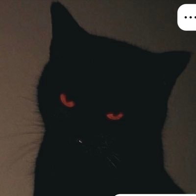 EnigmAnml's profile picture. #3 BO6 @Brparadox code “Enigma”