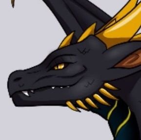 ADragon78954's profile picture. 27, AD account, 18+ only. 
DMs open, say, do or send whatever you want to me. (he/him, pan, switch)