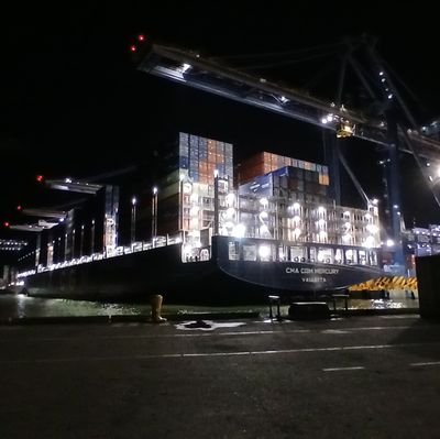 cave0718's profile picture. 