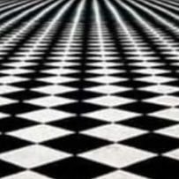VendemosExperi2's profile picture. totalmk.py@gmail.com