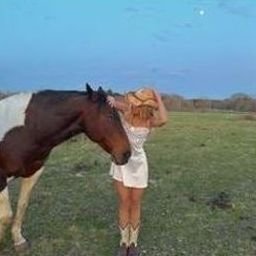 Roawtev742's profile picture. 