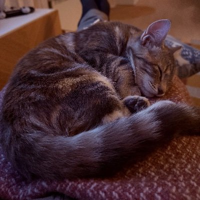 firstdrafthell's profile picture. I'm not here anymore.

Mastodon: @patriksvensson@mstdn.social
Bluesky: https://t.co/XkcxN3Om0w