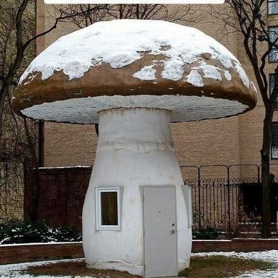 alcvol40's profile picture. 🇰🇬22 y.o| she/her | !MDNI, NSFW, selfshipp, gore! Multi-fandom. ASD(3lvl), ARFID. Vegan. Lawrence^^!