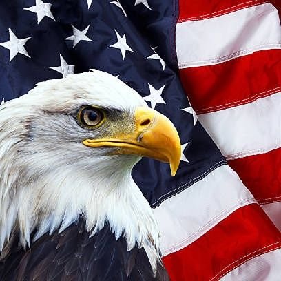 DarbyHowse's profile picture. 