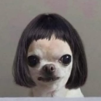 KJ1981ya's profile picture. Anti-Globalist, anti European Union, pro sovereignty, free speech, right wing, avid reader 📙,  horror fan, double entendres, follow back all, no bots, No DM 💞