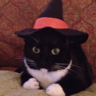 4sh1cles's profile picture. 