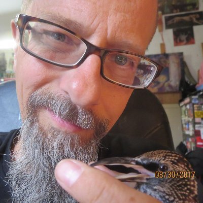 weewerk's profile picture. (weewerk) record label & mgmt since 2003 run by Phil Klygo  @jerome_forde_ @GreatLakeSwim @OfChairmen @ArtBergmann @TheSlowinks @jrgonewild1