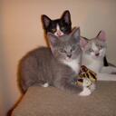 Joanne Sewell - @ChattiPatti50 - Twitter