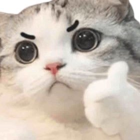 p1xelplant's profile picture. My good, bad, and ugly takes on all things tech🧑‍💻