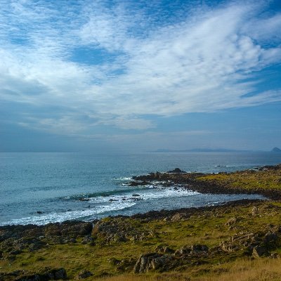 feynman827_'s profile picture. 