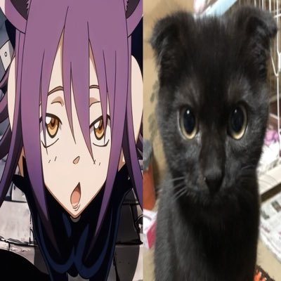 EVEND4RK's profile picture. amo meus mangás & animezinhos 🤍 ASSISTAM DARK!!