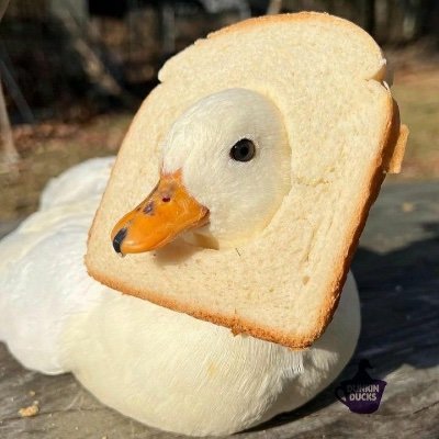 tales3901's profile picture. joined Twitter just for fun. 
 (18)🇧🇷🏳️‍⚧️