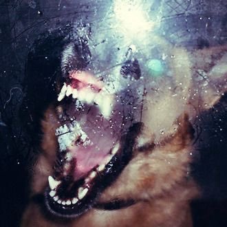 psychonaut_5's profile picture. 8teen (10/11) . minors go explode . nd (autistic) . mature/suggestive art!! . taken (12/11/22)!!