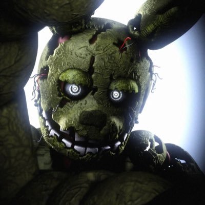 StingrayIDK's profile picture. 23 y/o | COD Competitive player for @unitygamingllc | FAN of @torontoultra | #greenwall | Rush through life, you’ll get to hell sweating