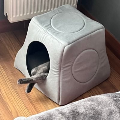 EgeEgeSD's profile picture. 