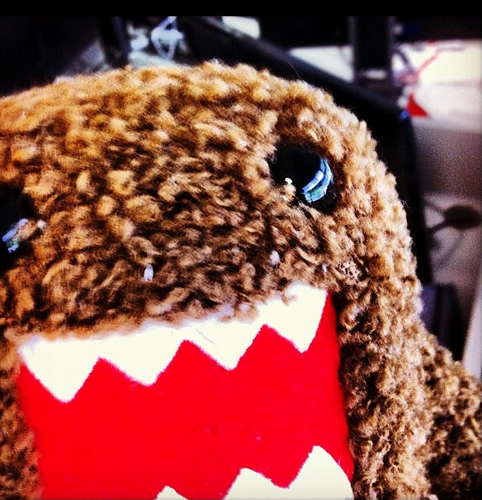 Cookie!