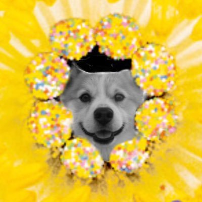 myomosuke's profile picture. 俺のルーティーン