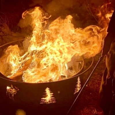 Valkyrie_vv's profile picture. Far North 🌬️❄️🌌🌲• WLF🐺⚔️• 🚫 DM's/GC's •