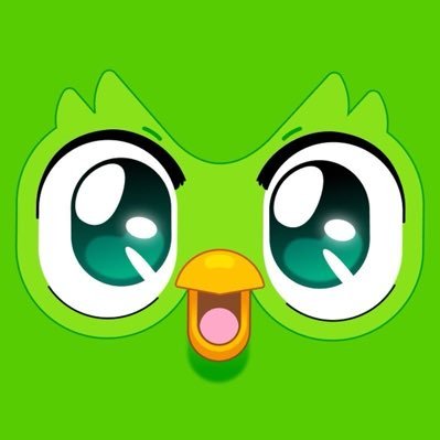 duolingoespanol's profile picture. In English, please.