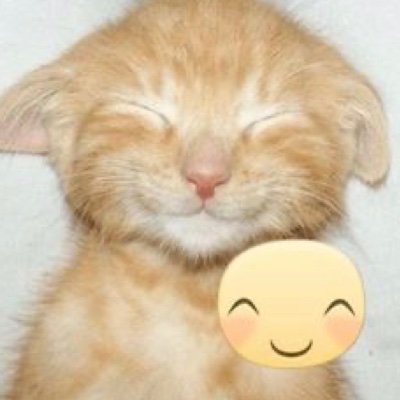 Ilikecatswowz's profile picture. Repost warrior🥹🥹🥹
