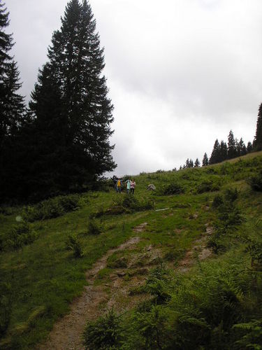 MoloDickens's profile picture. Human rights activist/ Data and economic  analyst.