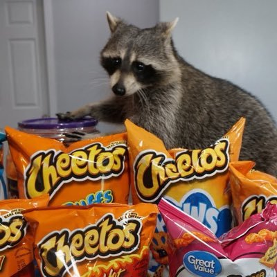 matsepulveda's profile picture. 😜 Publicists | Football 🏈 | Gamer 👾 |Radio Announcer 🎙| Foodie 🍜 | City Lover 🏙 - 🇨🇱🇦🇷🇵🇪🇲🇽🇺🇸