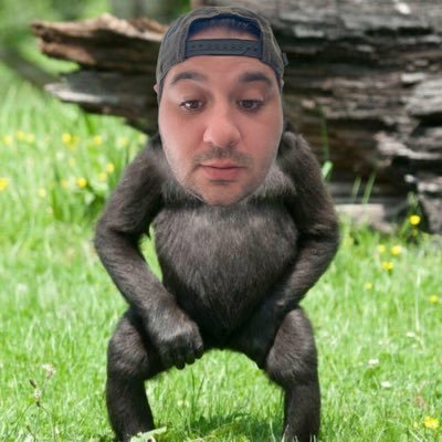 degenbrody's profile picture. Founder @SolanaK9S | Current Seed rounds: @mmtfinance @PlayOnClutch | Content creator & Streamer