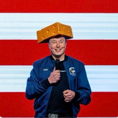 Musk732's profile picture. CEO - Spacex 🚀 Tesla 🪐Twitter Founder - The Boring Company founder Neutralink, openAl 🤖