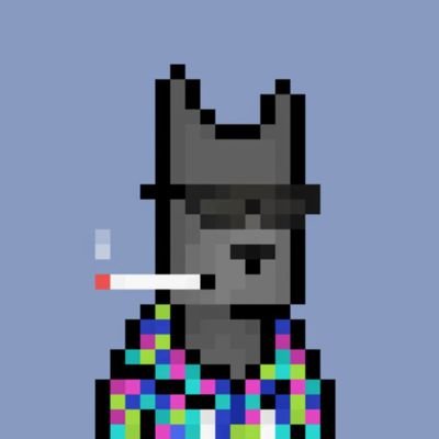 web3enzy's profile picture. Web3 enthusiast, old account got bagged @folkswago