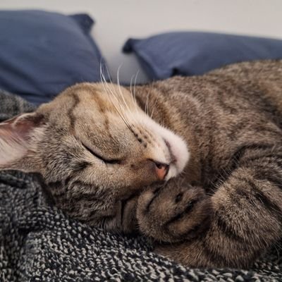 jkayx_'s profile picture. Nordestino, Potiguar, analista de processos, estudante de engenharia de produção. Desenvolvendo código nas horas vagas até me sentir bom. Trabalhista.