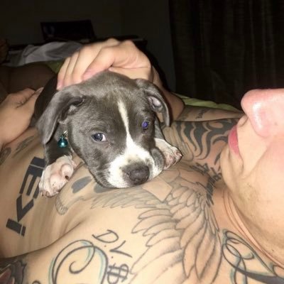 elonx509x's profile picture. Ich bin numble und caring und ich behandleandereso, wie ich es will 👨‍👦🦩 🇩🇪🇺🇸🇫🇮