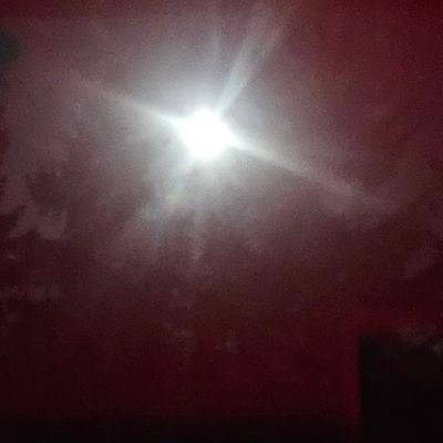 Raven21066's profile picture. Real Age: 17

Artist and Voice Actor

Creator of Gene and 1992X