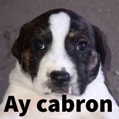 Salvatore_Haru's profile picture. SSBU Player And Fortnite Best Terry In Nuevo Laredo “IG:HaruxOP” 🤏🏻