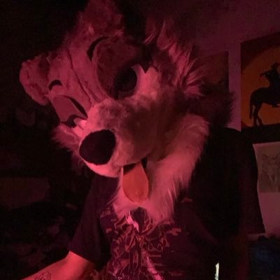 dannxyss's profile picture. 