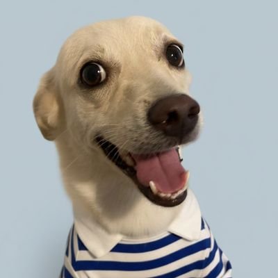 prib_9's profile picture. 🐠🇧🇷