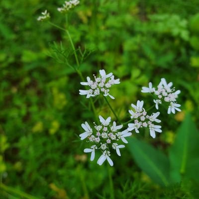 tuanvtsdn's profile picture. 