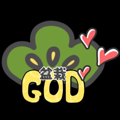 Bonsai_heart's profile picture. 種から盆栽🪴 実生家🫘🌱