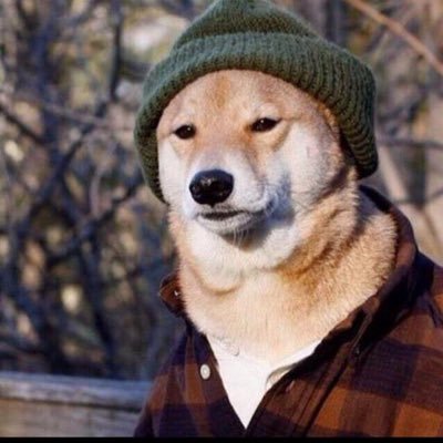 LordCarryHimNow's profile picture. JJK. I occasionally like the Celtics