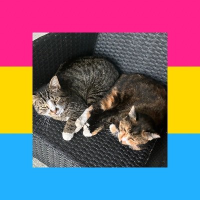 SillyGoober444's profile picture. EEEEEETHAN
is my name

PRONOUNS: HE HIM HIS HISSELF HIMSELF SIR
I AM CENTRE TO LEFT
TOMGIRL
LGBTQ+ ALLY
PANSEXUAL: FOUND OUT OCTOBER 20TH 2025
CISGENDER MALE