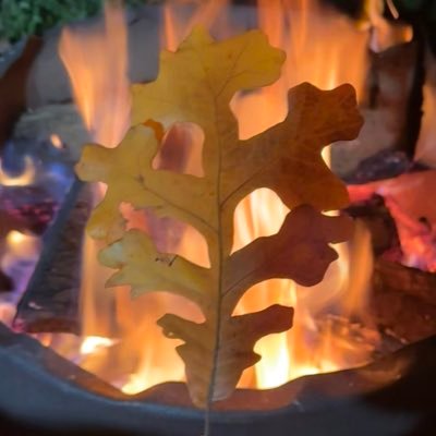 ragnarisapirate's profile picture. Stocks and real estate. I talk gooder than I tweet. #ESG is stupid.