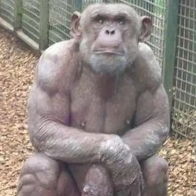 adrianmmclose1's profile picture. FULL MONGOL MODE