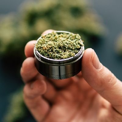 henry_weed_farm's profile picture. 