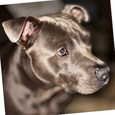 69LiLbRiTcHeS69's profile picture. 